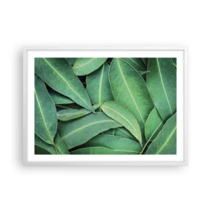 Poster in een witte lijst - Sappig en fris - 70x50 cm