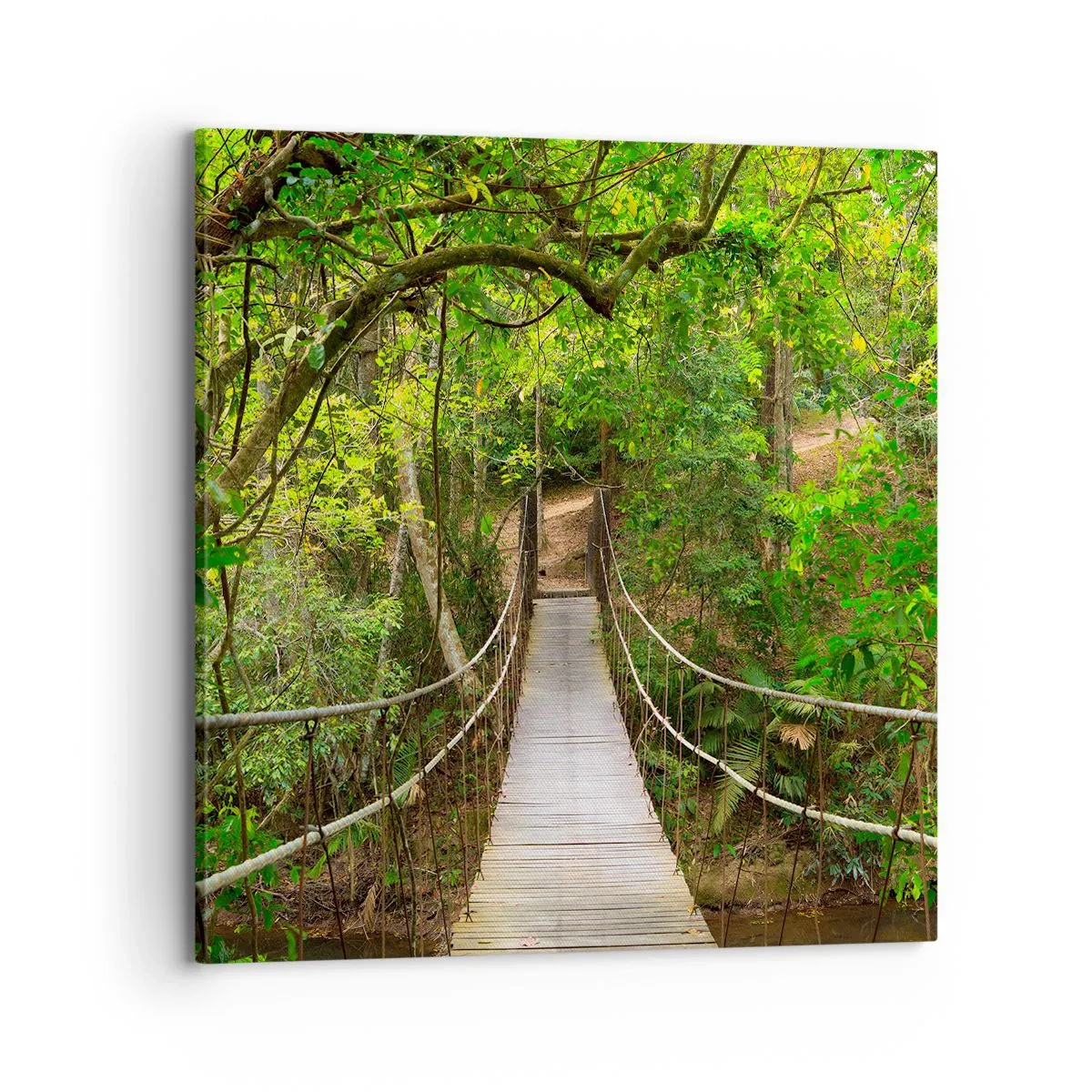 Schilderen op canvas - Want er staat een klimplant in de tuin - 70x70 cm