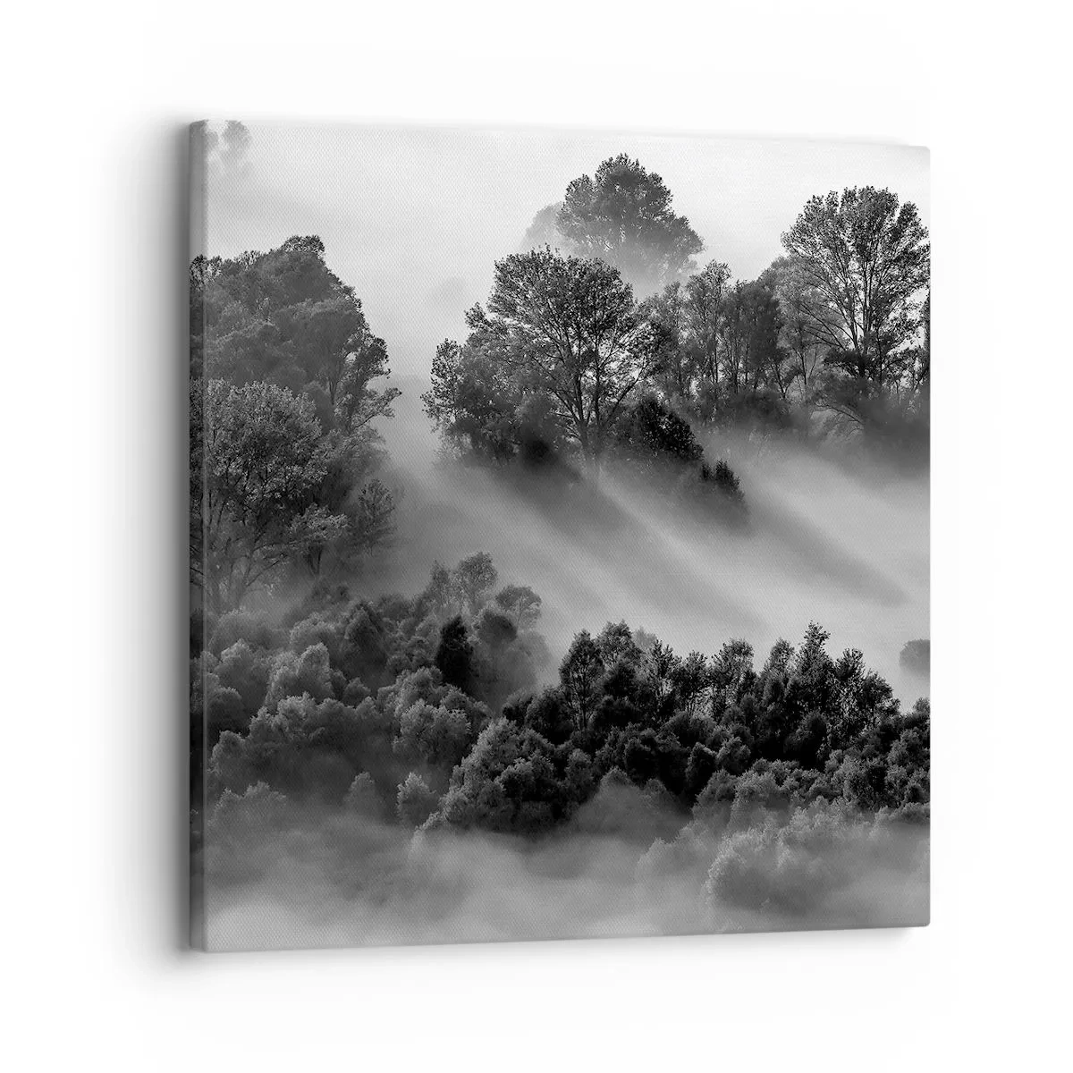 Schilderen op canvas - Opstaand uit de slaap - 30x30 cm