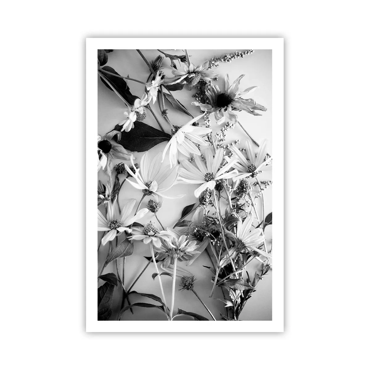 Poster - Niet-boeket bloemen - 61x91 cm