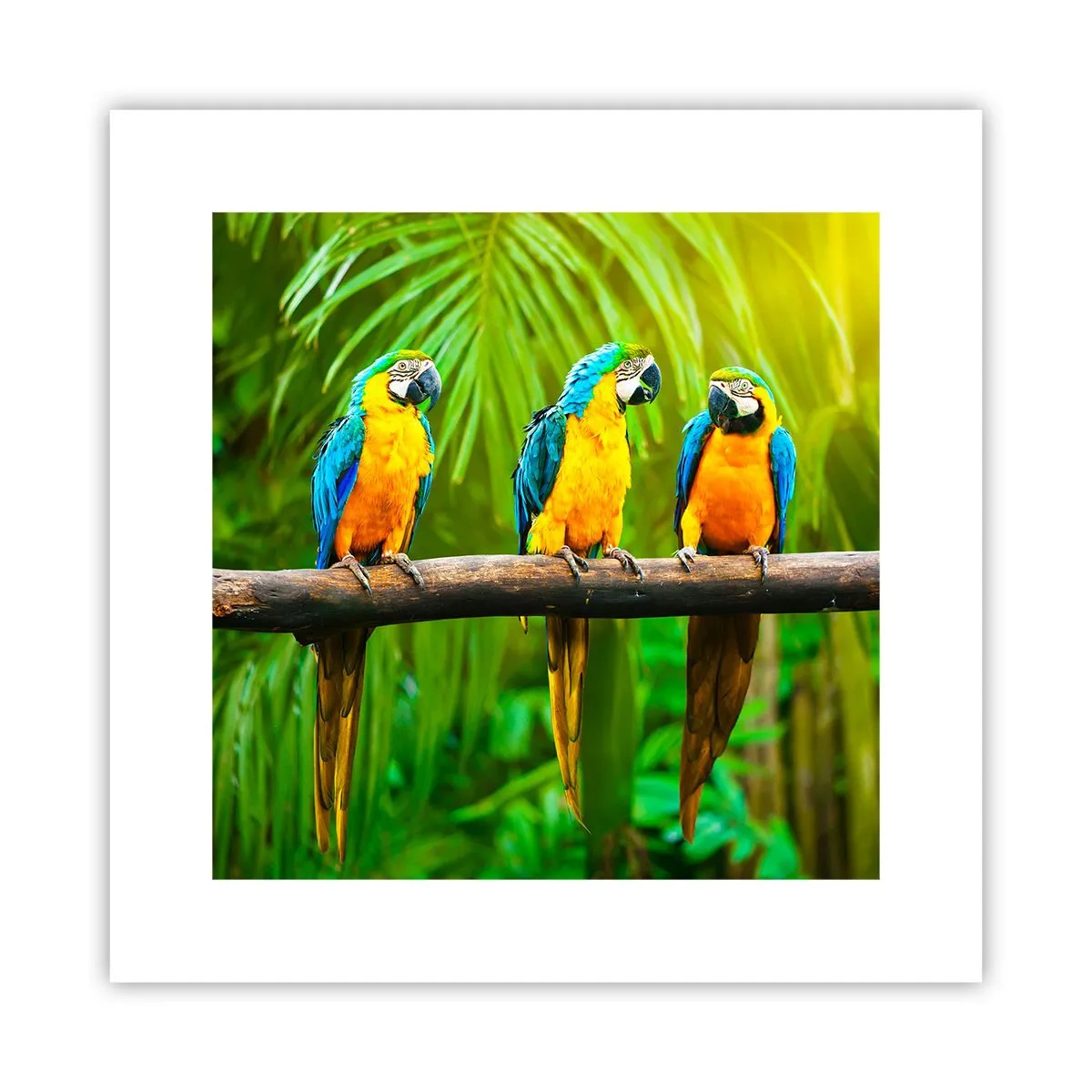 Poster - En heb je gehoord dat ze...? - 30x30 cm