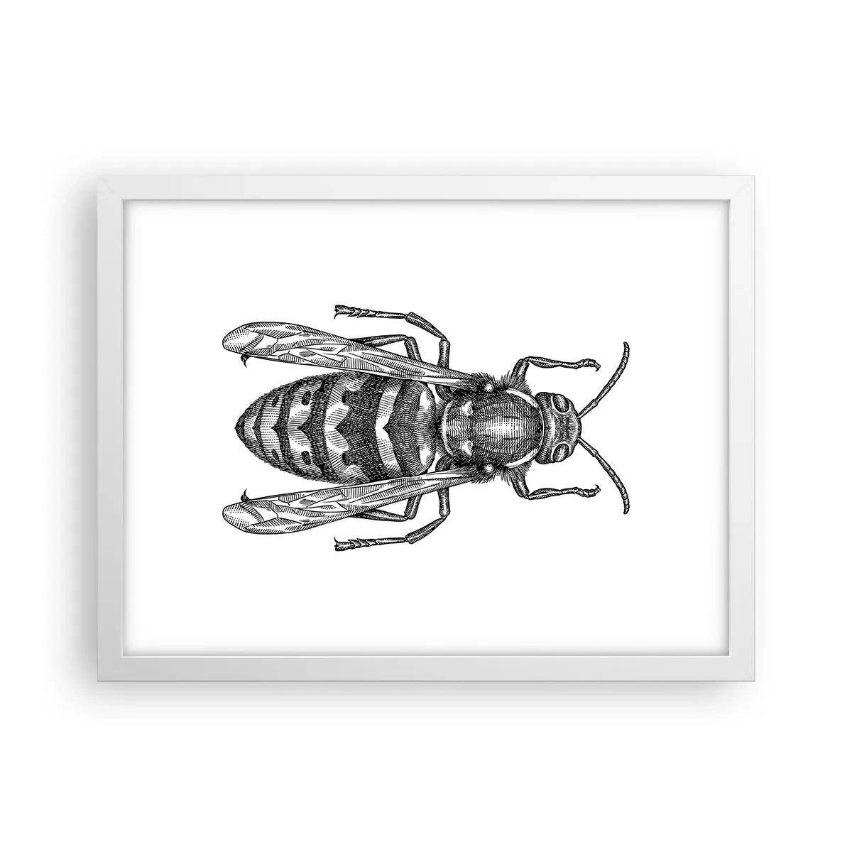 Poster in een witte lijst - Van een insectenplaneet - 40x30 cm