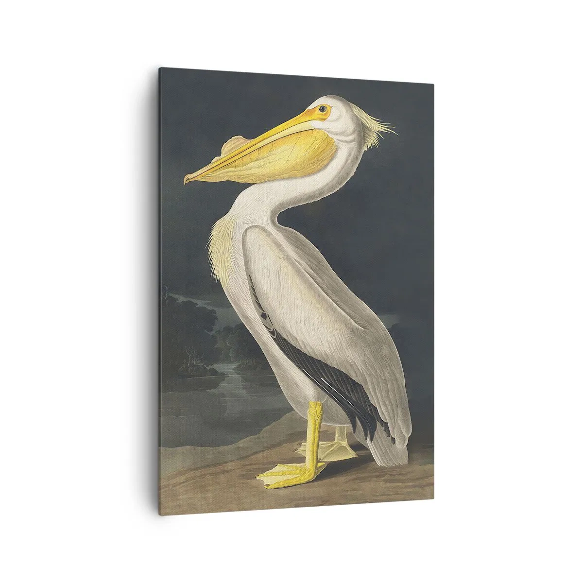 Schilderen op canvas - Vol trots - 70x100 cm