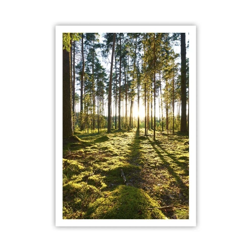 Poster - … Achter de zeven bossen - 70x100 cm
