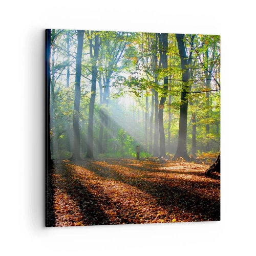 Schilderen op canvas - Lichten en schaduwen - 50x50 cm