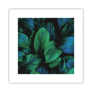 Poster - In de groene menigte - 30x30 cm