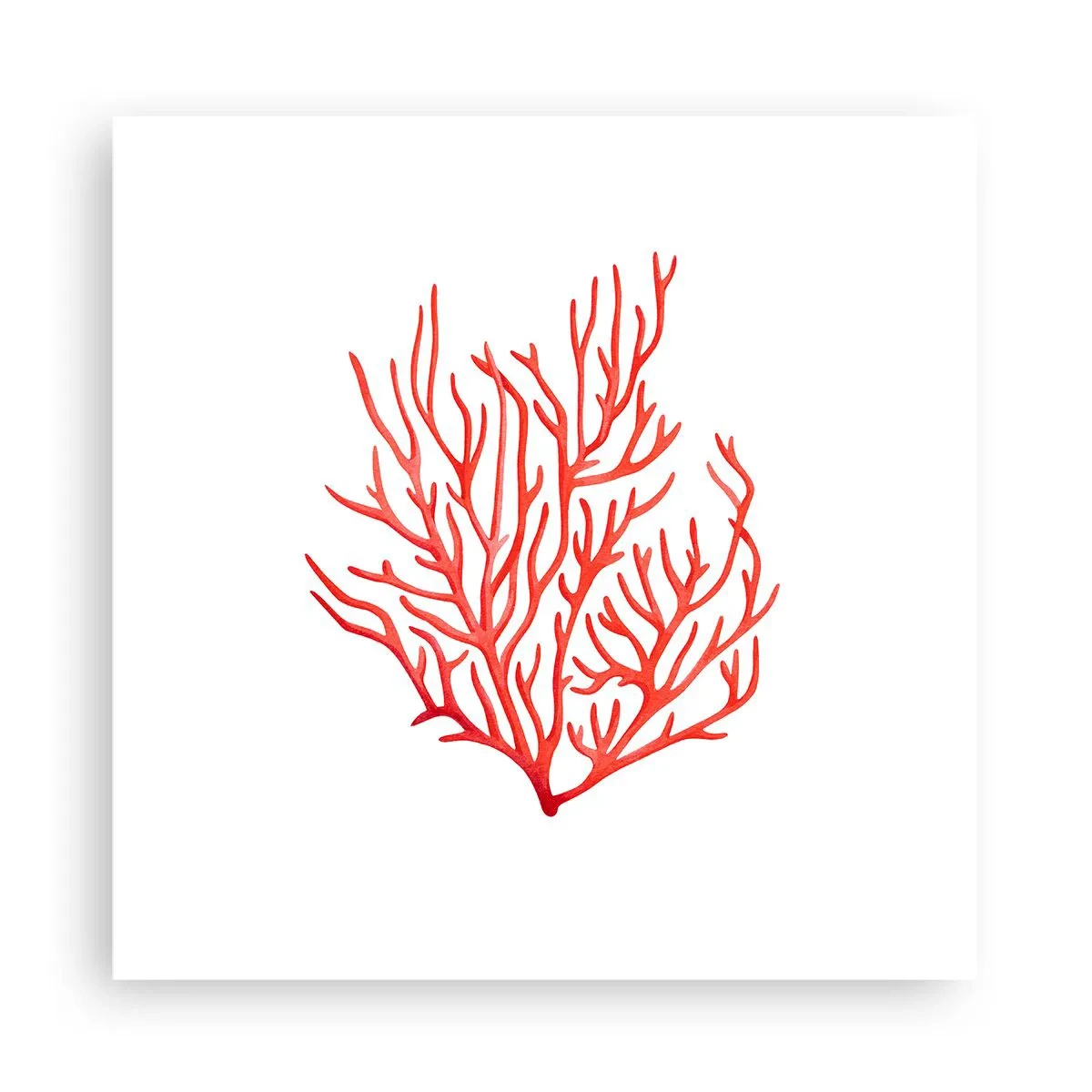 Poster - Koraal filigraan - 30x30 cm