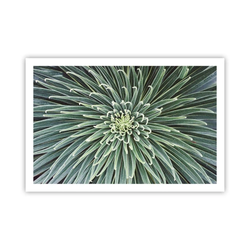 Poster - Een ster is geboren - 91x61 cm