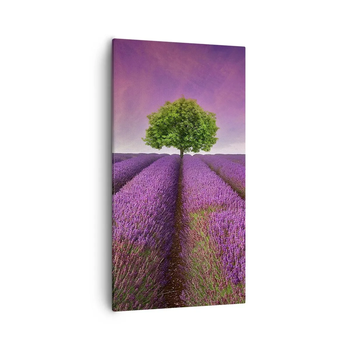 Schilderen op canvas - Op lavendelvelden - 55x100 cm