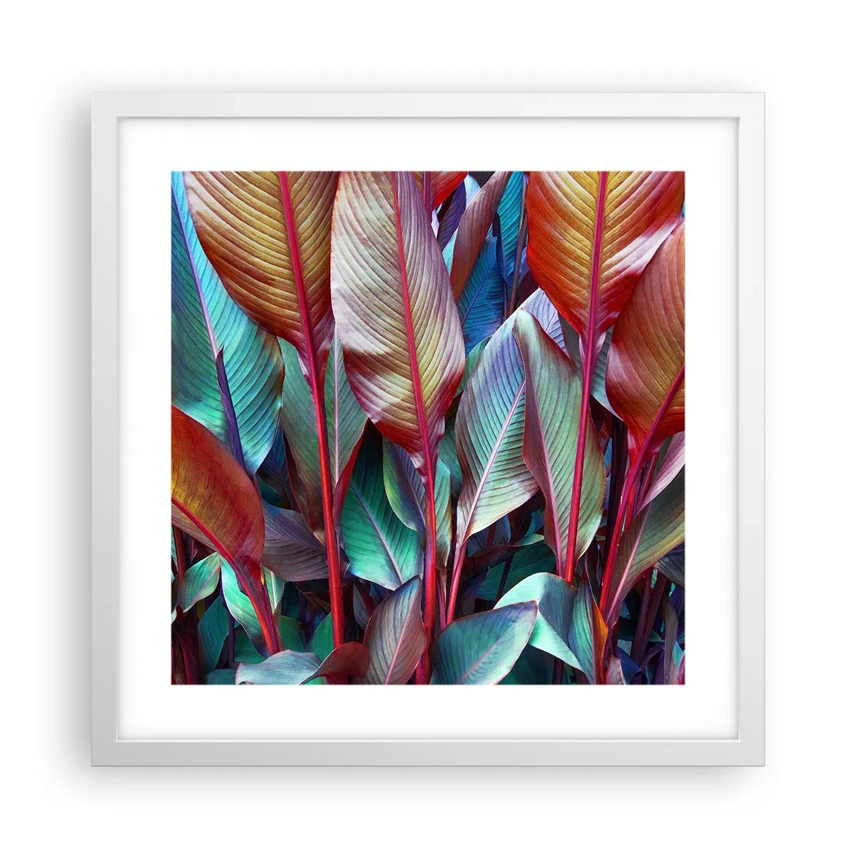 Poster in een witte lijst - Een kleurrijk struikgewas - 40x40 cm