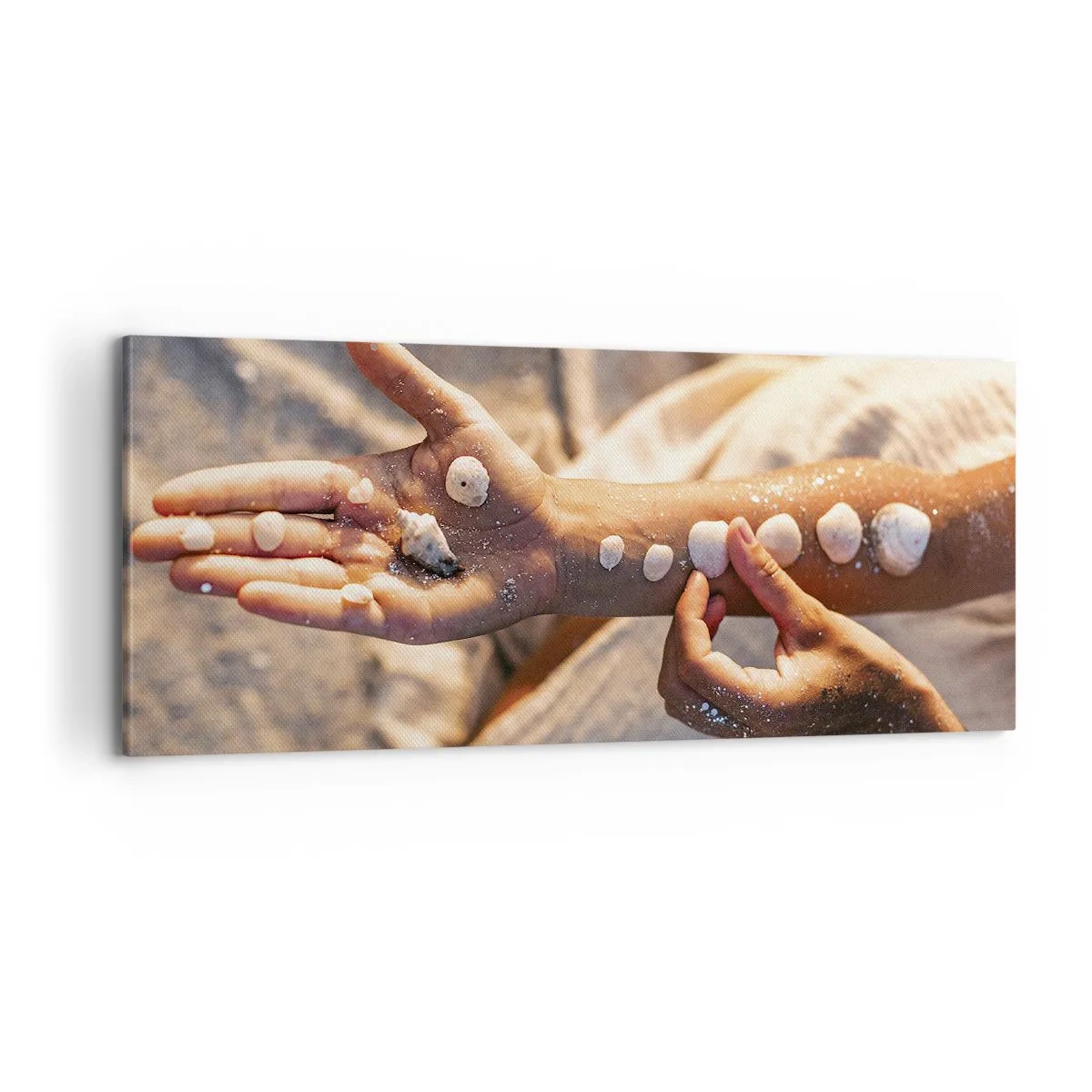 Schilderen op canvas - Schoonheid binnen handbereik - 100x40 cm