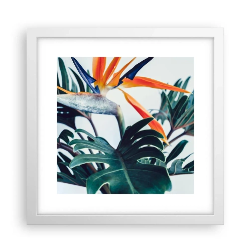 Poster in een witte lijst - Vogelstruik - 30x30 cm