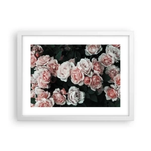 Poster in een witte lijst - Rozen ensemble - 40x30 cm