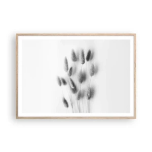 Een poster in een licht eiken lijst - Haar luchtigheid gras - 100x70 cm
