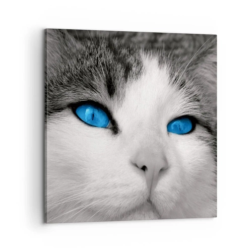 Schilderen op canvas - Ongewone blauwe ogen - 60x60 cm