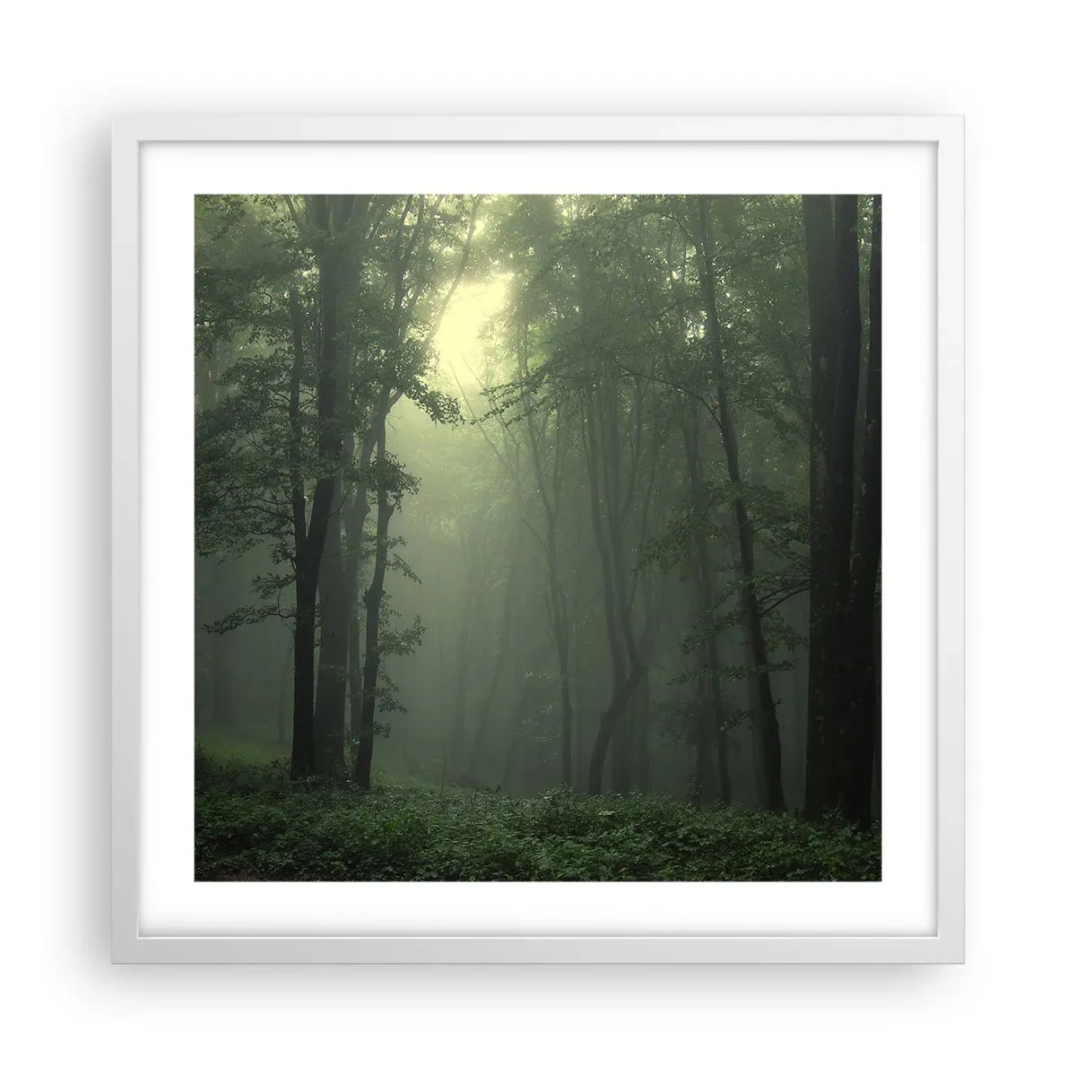 Poster in een witte lijst - Voordat hij wakker wordt - 50x50 cm