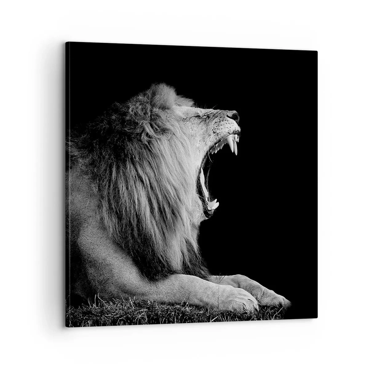 Schilderen op canvas - Zonder enige twijfel - 60x60 cm