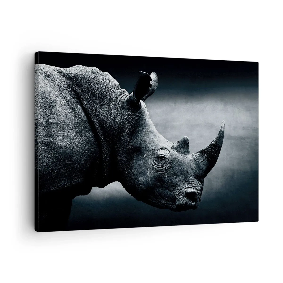 Schilderen op canvas - Zwart-witportret van een neushoorn tegen een donkere achtergrond - 70x50cm - Rechts profiel - Moderne wanddecoratie voor woonkamer en slaapkamer ARTTOR