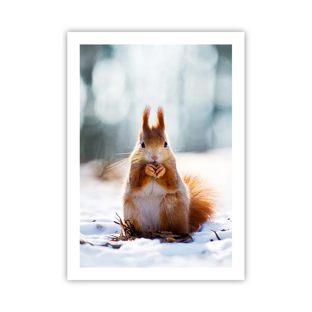 Poster - Waar kijk je naar? - 50x70 cm