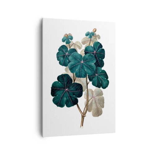 Schilderen op canvas - Uit het oude herbarium - 70x100 cm