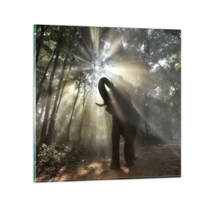 Schilderen op glas - Onder de gelukkige ster - 70x70 cm