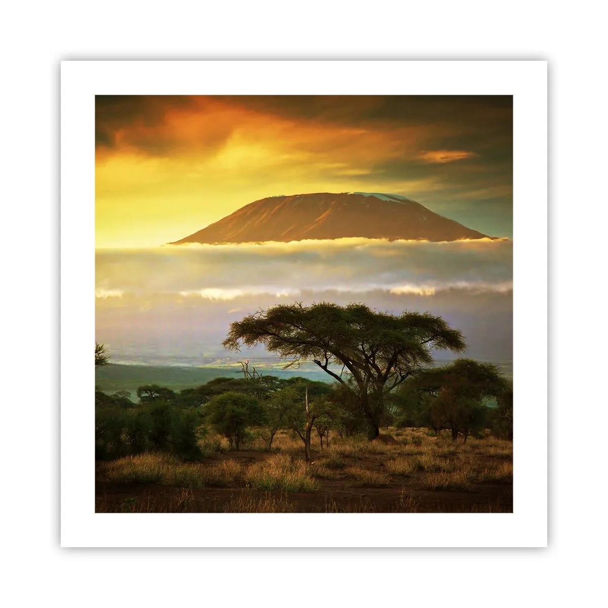Poster - Een reizigersdroom - 50x50 cm
