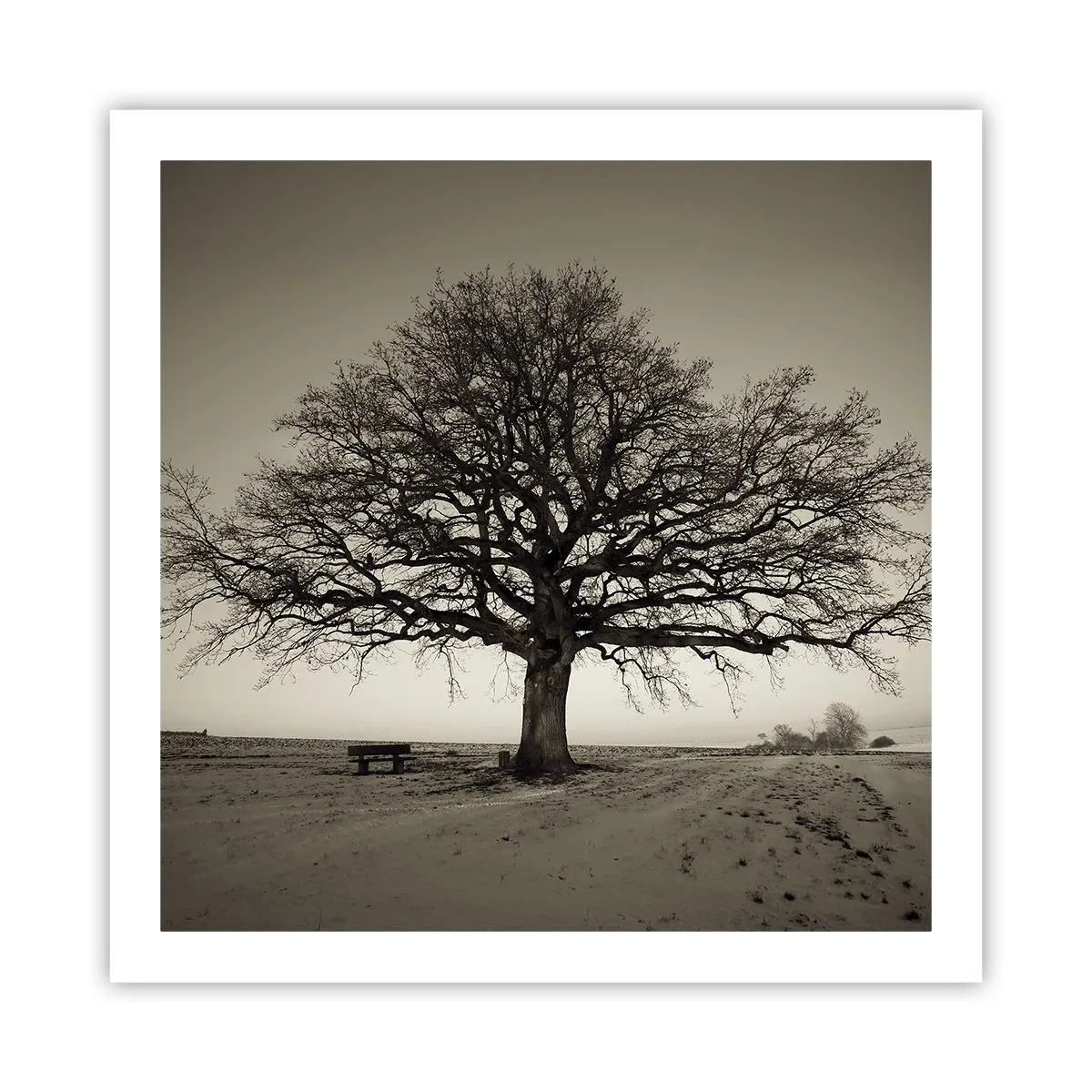 Poster - Van hier tot in de eeuwigheid - 60x60 cm