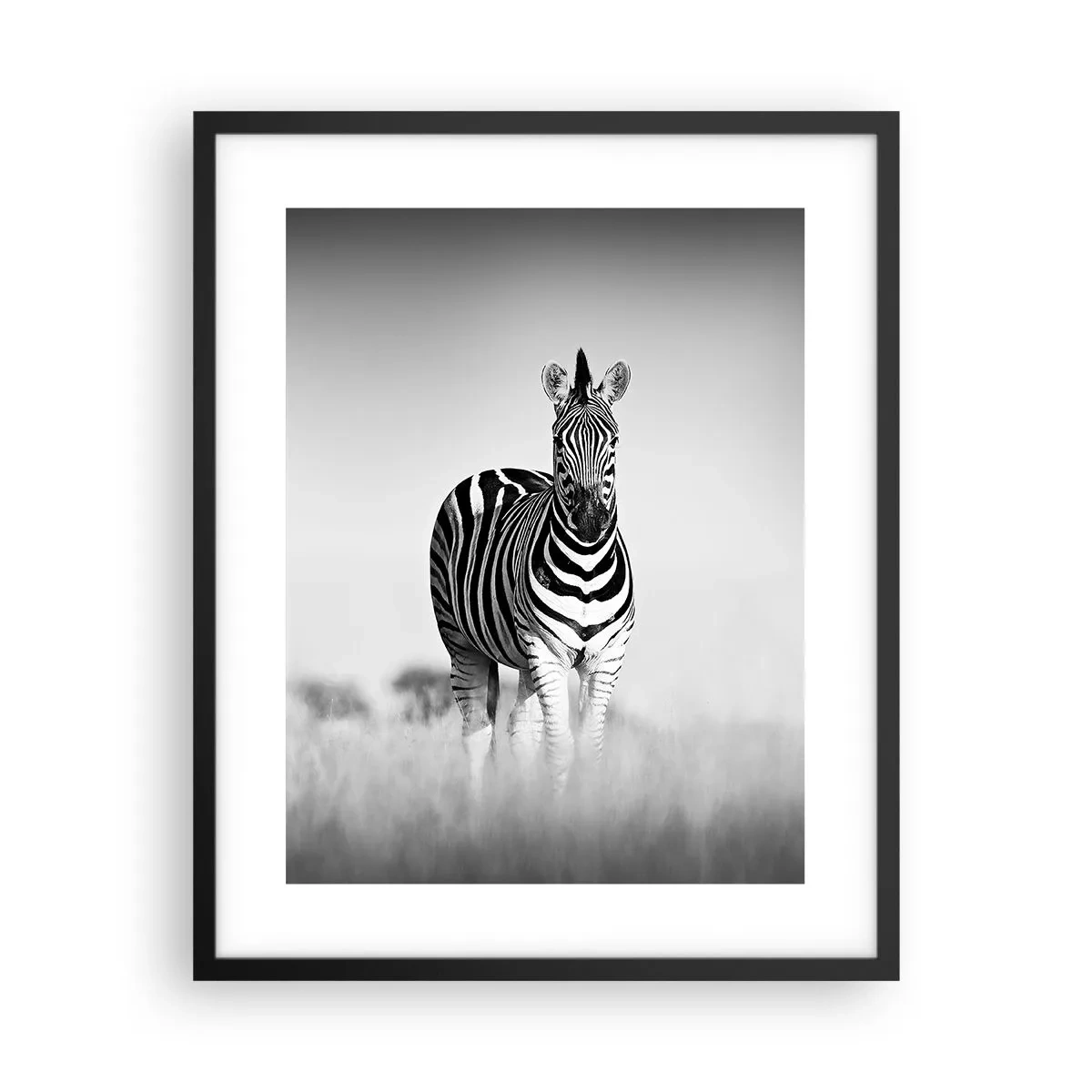 Poster in een zwarte lijst - Toch is de wereld zwart-wit - 40x50 cm