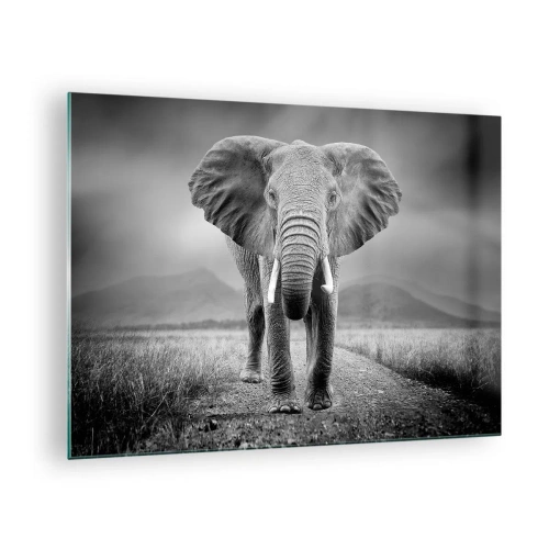 Schilderen op glas - Olifant op de savanne in zwart-wit - 70x50cm - De gastheer heet je welkom - Moderne wanddecoratie voor woonkamer en slaapkamer ARTTOR