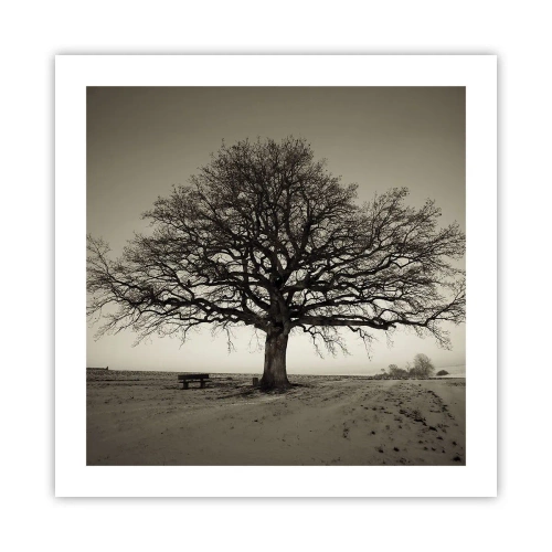 Poster - Van hier tot in de eeuwigheid - 50x50 cm