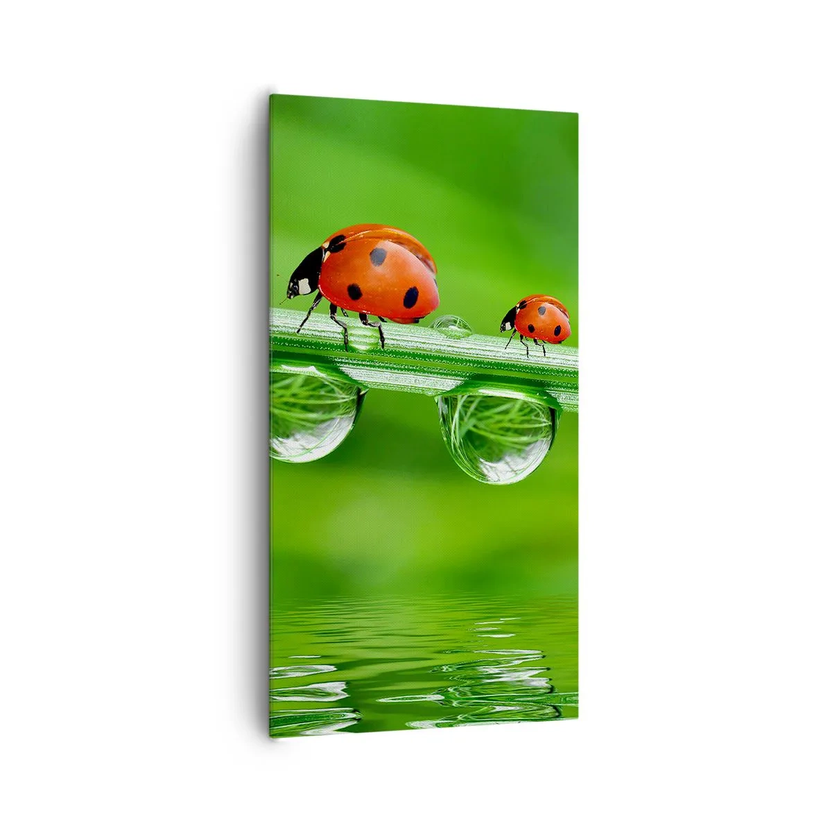 Schilderen op canvas - De hele zomer onderweg - 65x120 cm