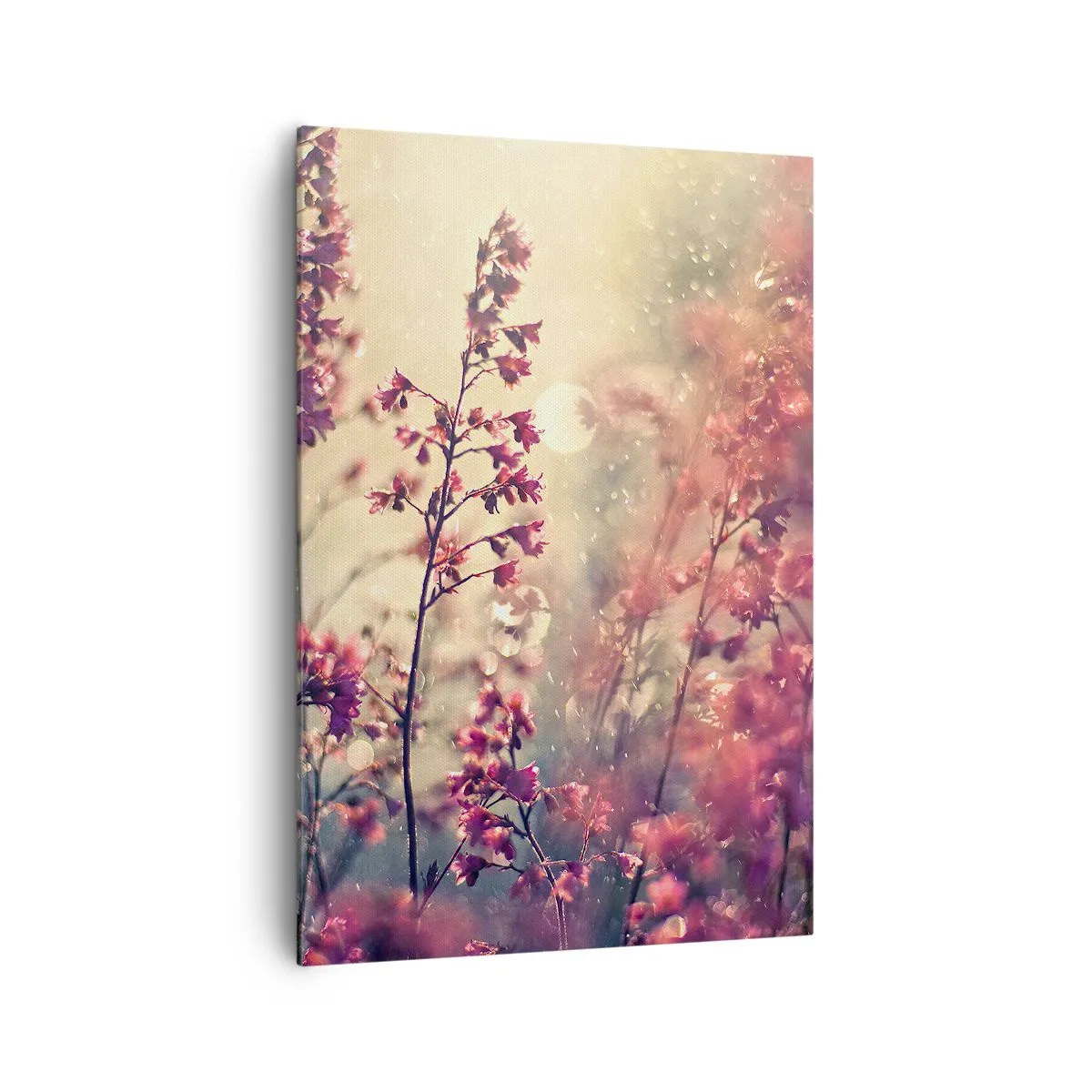 Schilderen op canvas - Geheime Tuin - 70x100 cm