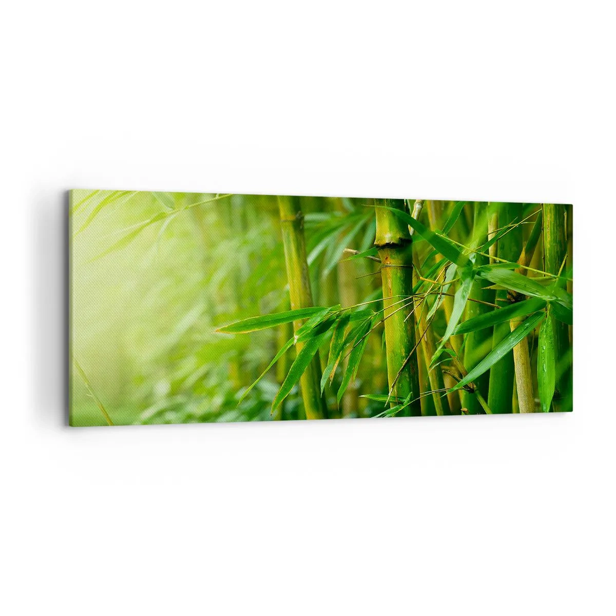Schilderen op canvas - Maak kennis met groen zelf - 120x50 cm