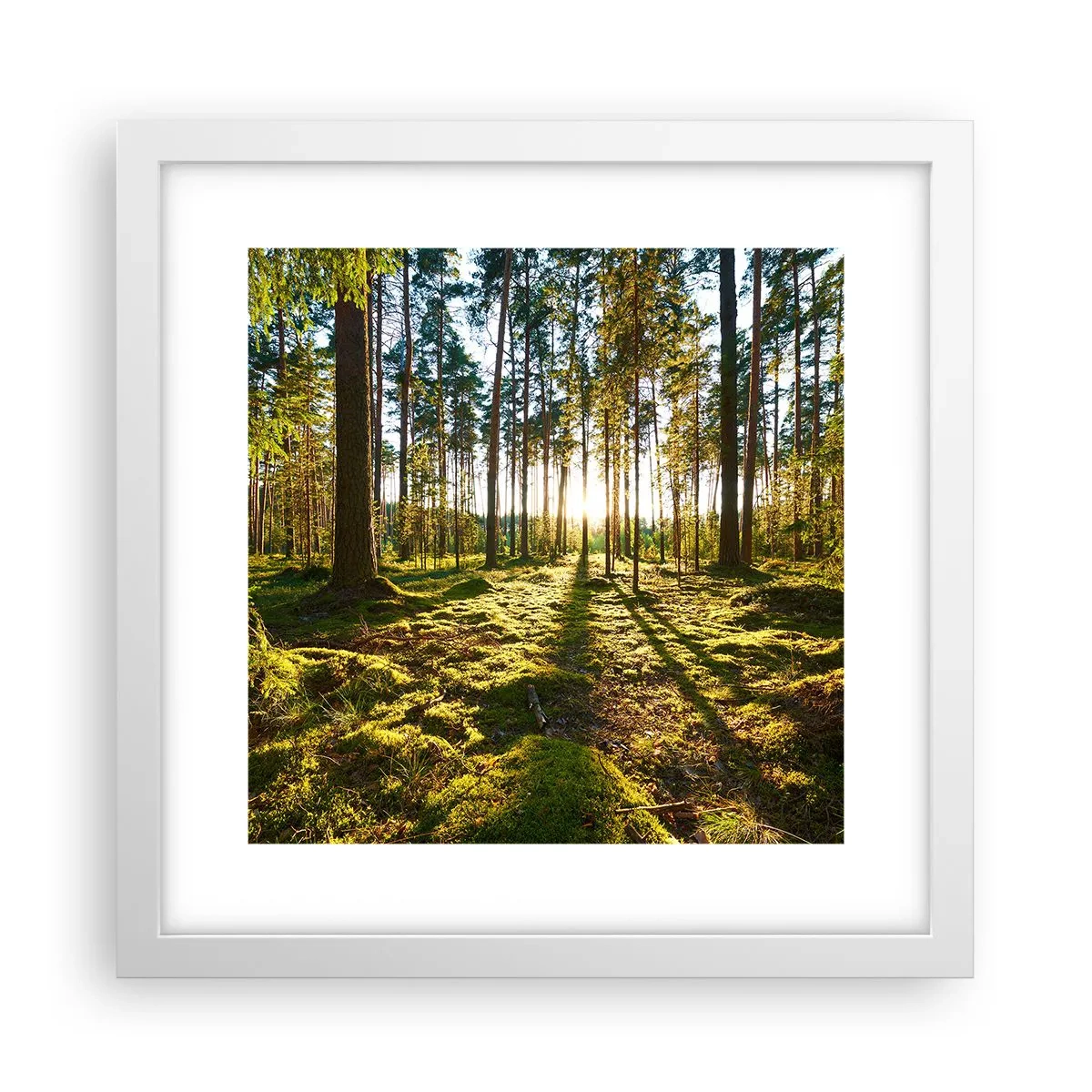 Poster in een witte lijst - … Achter de zeven bossen - 30x30 cm