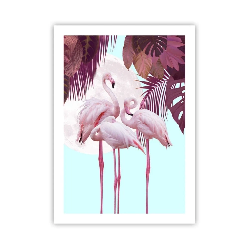 Poster - Drie vogel genaden - 50x70 cm