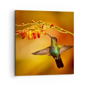 Schilderen op canvas - Een boodschapper van licht volgens de Maya - 70x70 cm