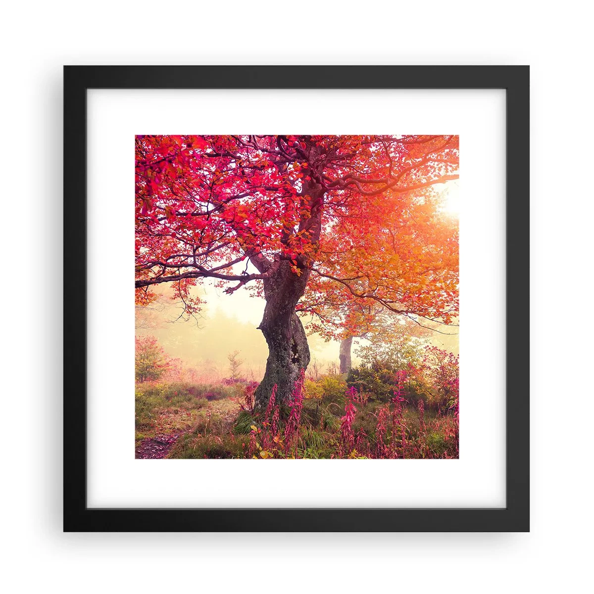 Poster in een zwarte lijst - Bloeiende razernij - 30x30 cm