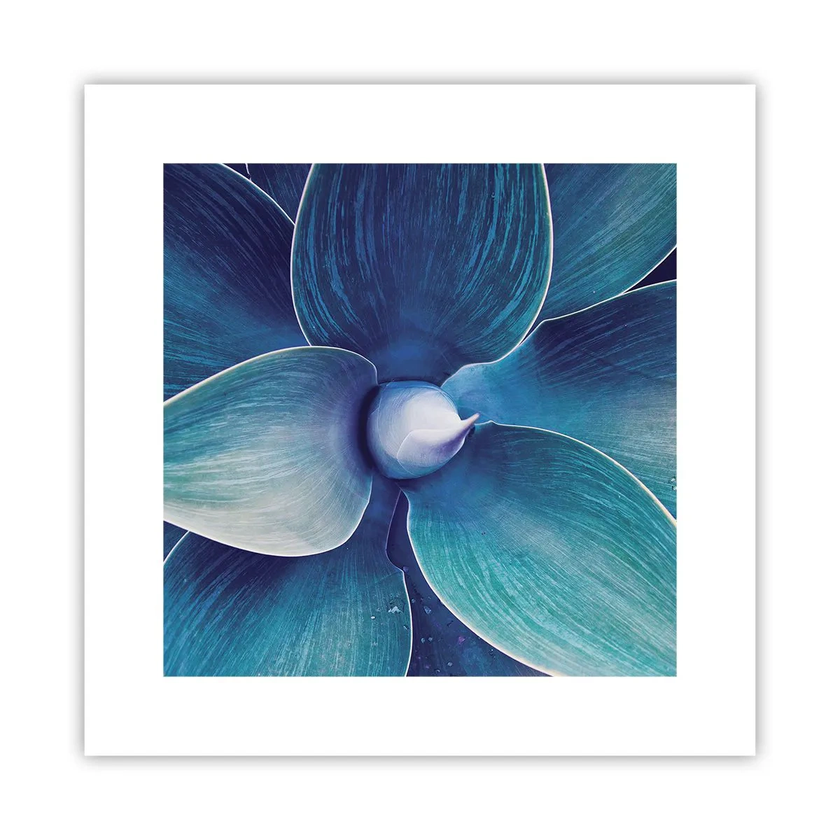 Poster - Blauw uit de lucht - 30x30 cm