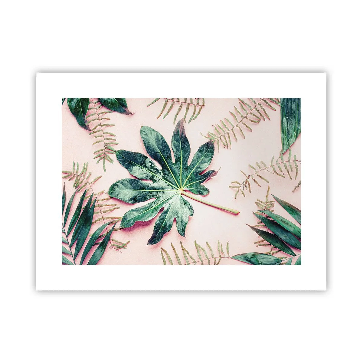 Poster - Een studie van groen op een roze achtergrond - 40x30 cm