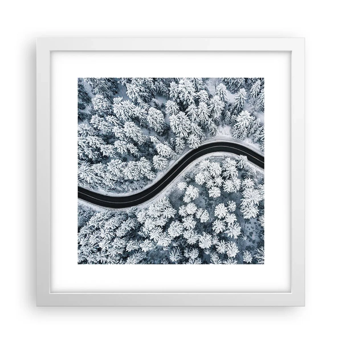 Poster in een witte lijst - Door het winterbos - 30x30 cm