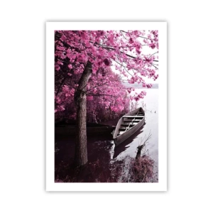 Poster - In roze stilte - 50x70 cm
