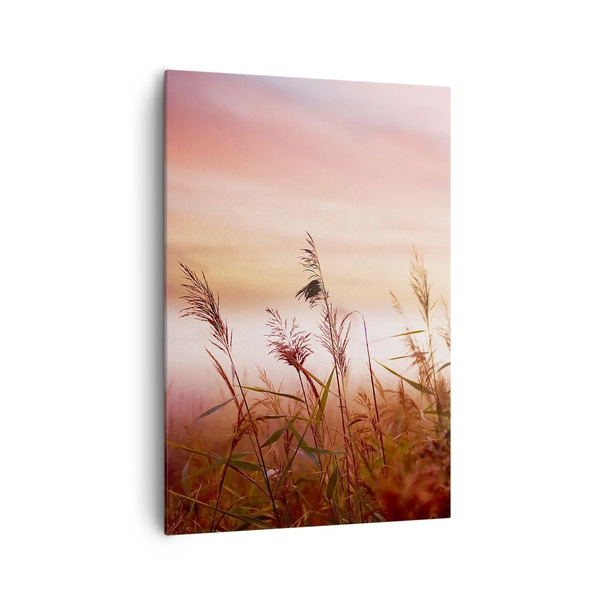 Schilderen op canvas - Vliegers, paardebloemen, wind - 70x100 cm