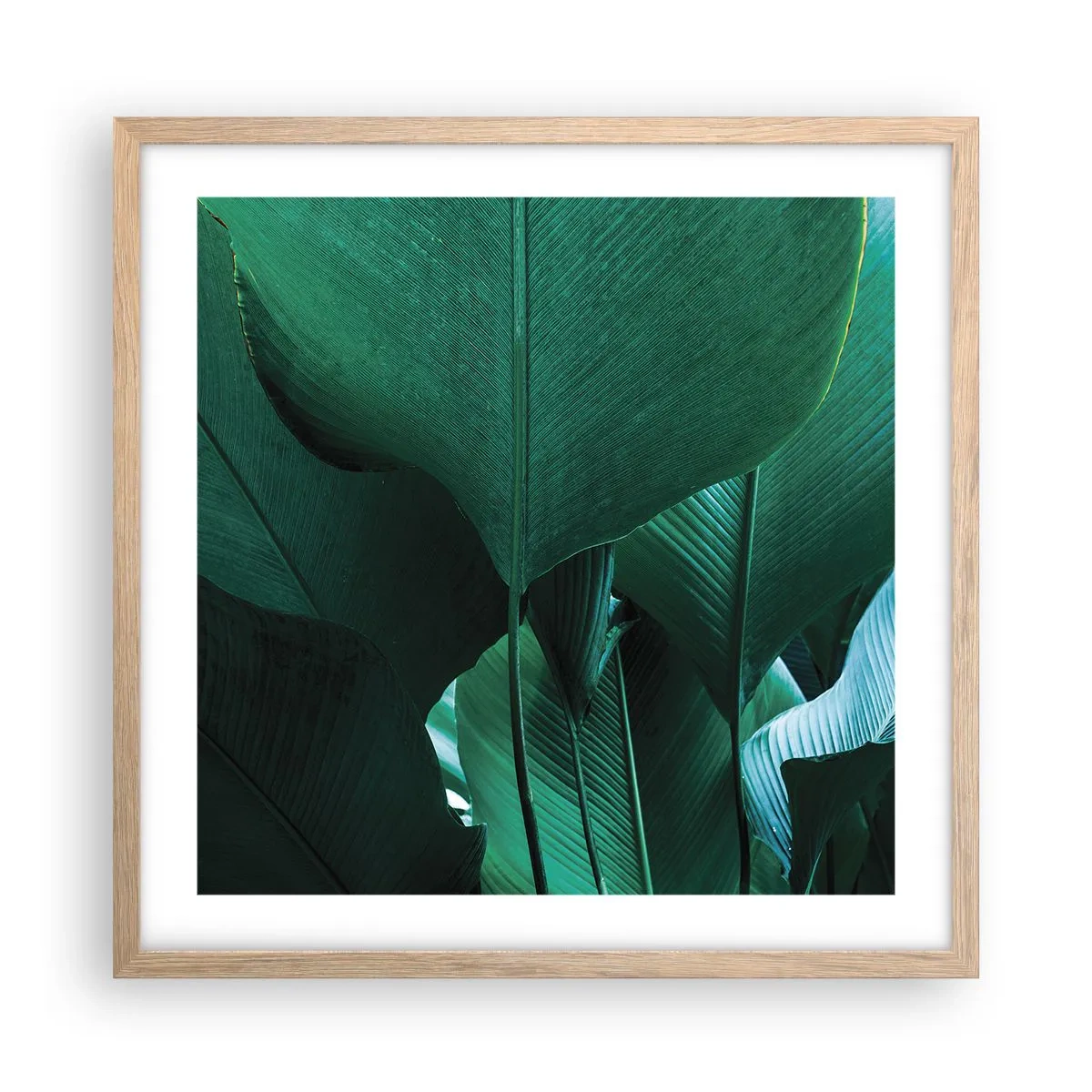 Een poster in een licht eiken lijst - Naar het licht gekeerd - 50x50 cm