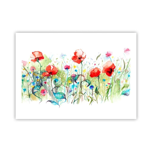 Poster - Bloeiende meiweide - 70x50 cm