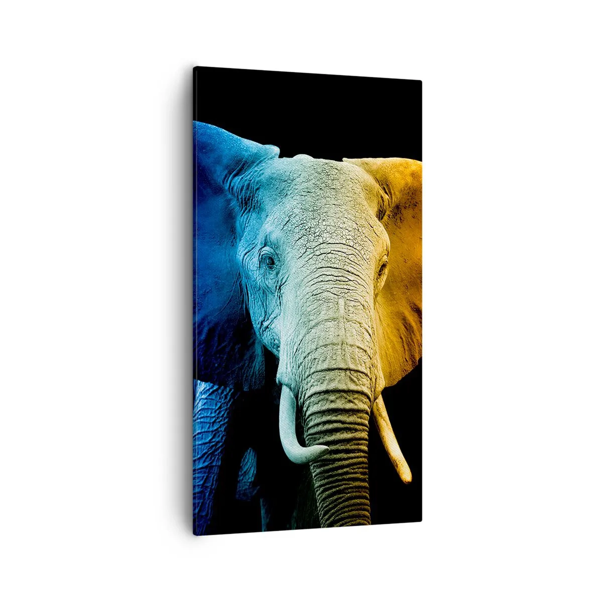 Schilderen op canvas - Excentriek, niet raar - 55x100 cm