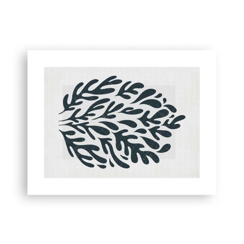 Poster - Vormen van de natuur - 40x30 cm