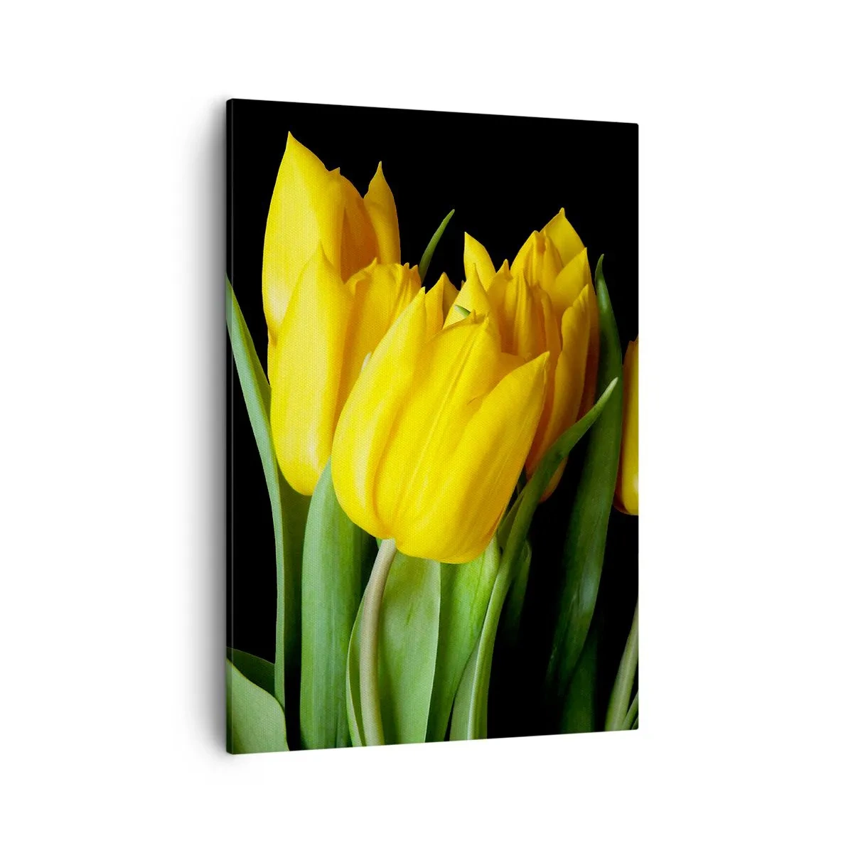 Schilderen op canvas - Gemaakt van heldere zon - 50x70 cm