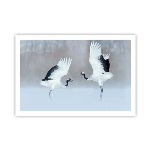 Poster - Dans in de mist - 91x61 cm