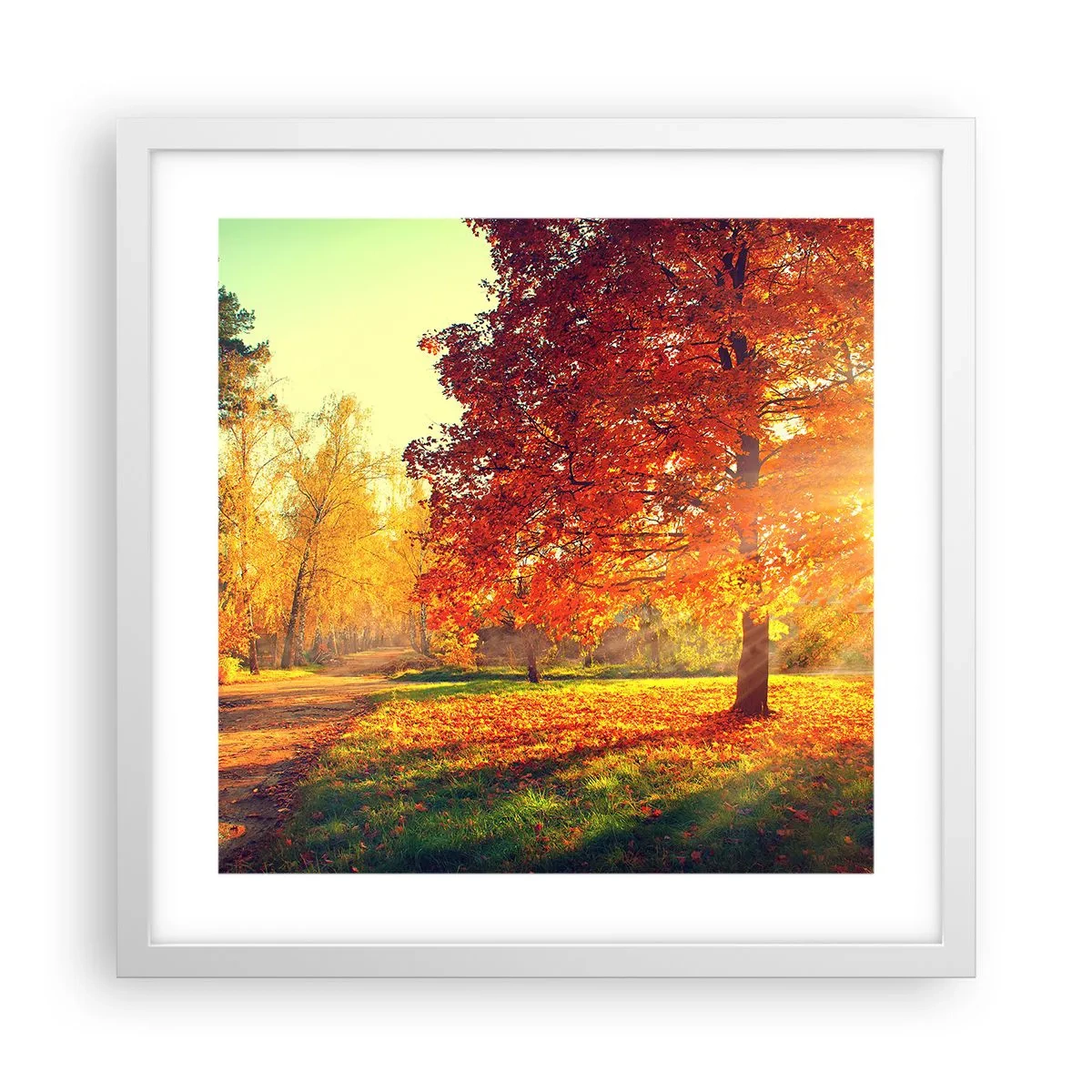 Poster in een witte lijst - Rood is mooi - 40x40 cm