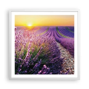 Poster in een witte lijst - Geurige korenvelden - 60x60 cm